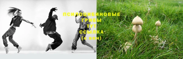 apvp Алексеевка
