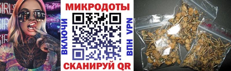 Псилоцибиновые грибы мухоморы  купить наркотик  Цивильск 